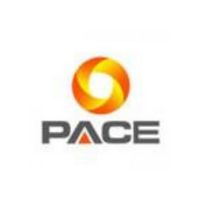 pace digitek infra private limited